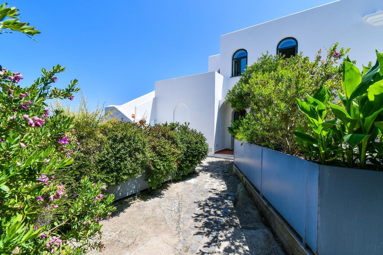 B&B Villa Lentisco Ischia Zewnętrze zdjęcie